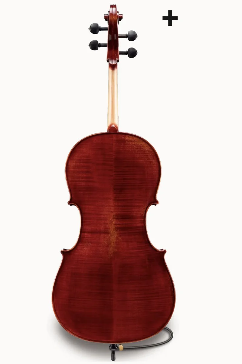 Samuel Eastman Series+ VC145+ CELLO — Vermont Violins